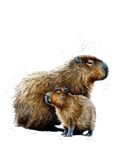 The Capybaras on White, 2019 av Mike Davis