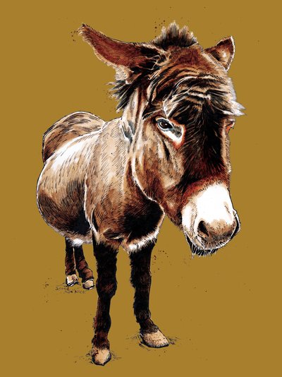 The Little Donkey on Golden Yellow, 2020 av Mike Davis