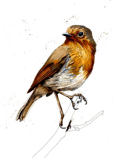 The Robin on White, 2019 av Mike Davis