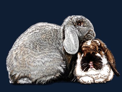 Tenker på Bunnies on Midnight Blue, 2020 av Mike Davis