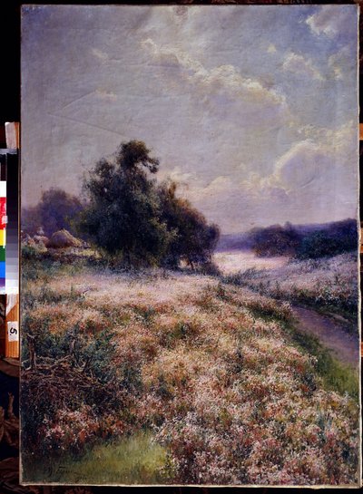 Blomstrende eng (Blooming Meadow). Maleri Mikhail Andreyevich Berkos (1861-1919). Olje på lerret av Mikhail Andreyevich Berkos
