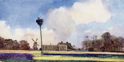 Storkenes retur (farge litho) av Mima Nixon