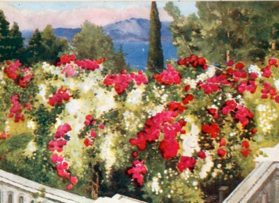 Rose Pergola, Achilleion, Korfu av Mima Nixon