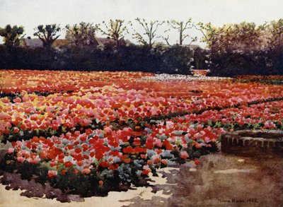 "De vårer, de bygger, blomstringen er frisk og vakker, og dekker verden med sine rike pompøse show" (farge litho) av Mima Nixon