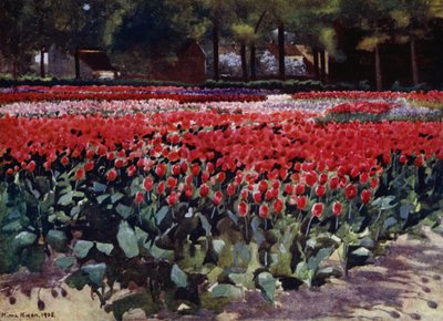 Tulipaner i sin første alder (farge litho) av Mima Nixon