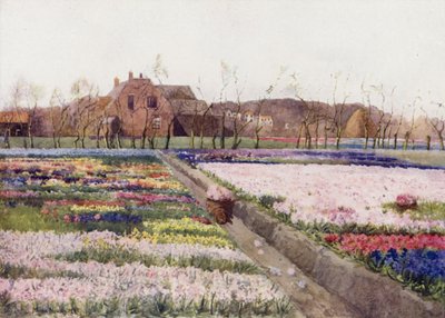 "Når våren låser opp blomstene for å male latterjorda" (farge litho) av Mima Nixon