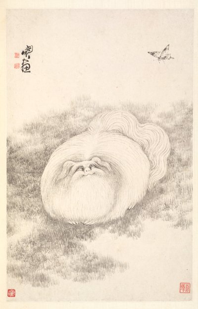 Katt og sommerfugl, 1788. av Min Zhen