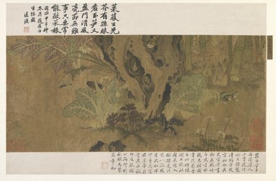 Bambus, frosk og insekter av Ming Dynasty Chinese School