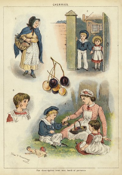 Kirsebær (chromolitho) av Miss Eliza F. Manning