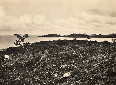 Bygge et imperium i den fascistiske tidsalderen: Lake Tana. Etiopia, 09.05.1936 (s/hvitt-bilde) av Modestino Baldinetti
