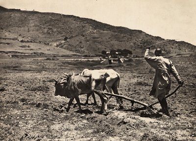 Bygge et imperium i den fascistiske tidsalderen: pløying på altopiano, 09.05.1936 (s/hvitt-bilde) av Modestino Baldinetti