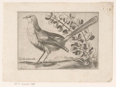 Vogel Codazinzola (tittel på objekt) Vogels (serietittel) av Monogrammist AG