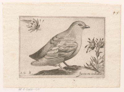 Vogel Passra Indiana (title on object) Vogels (series title)   1364342   no       norwegian Successfully Translated  Original: Paard en wagen voor een huis Translat: Paard en wagen voor een huis 1372641 no norwegian Successfully Translated Original: The Tr av Monogrammist AG