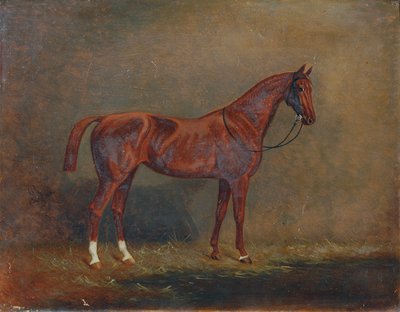 Portrett av en ridehest av Monogrammist A. G.