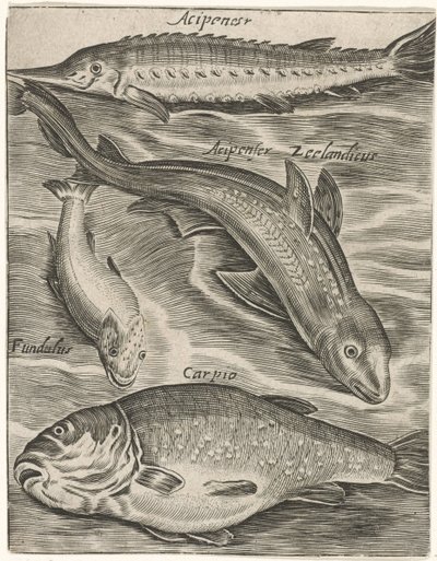 Studieblad met vissen Fisk live-ikoner (serietittel) av Monogrammist P+P
