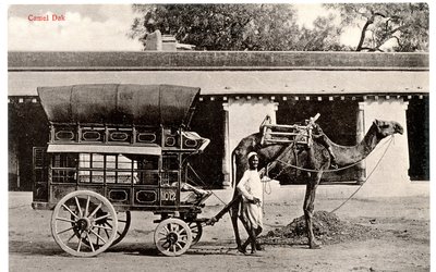 Camel Dak, ca. 1911-12 (sepia-bilde) av Moorli Dhur and Sons
