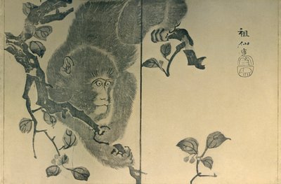 Monkey, 1815, 1924. av Mori Sosen