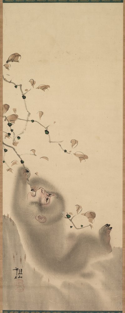 Monkey som henger på en gren, 1780. av Mori Sosen