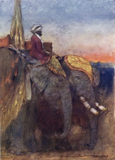 Jaipur-elefanter (litho-farge) av Mortimer Ludington Menpes