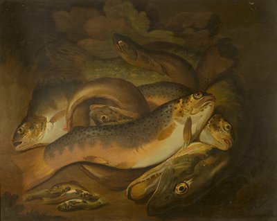 Fisker av Moses Haughton