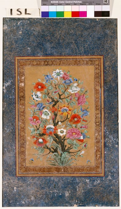 Mytisk plante av Mughal School
