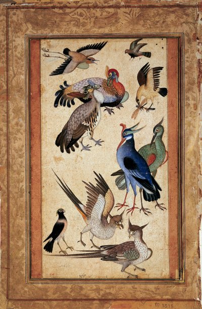 Ti fugler. Miniatyrmaleri ved gouache av skolemoghole av Mughal School