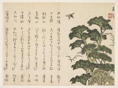 Stort tre og fugler, ca. 1830-44 (farget treblokktrykk) av Murata Kagen