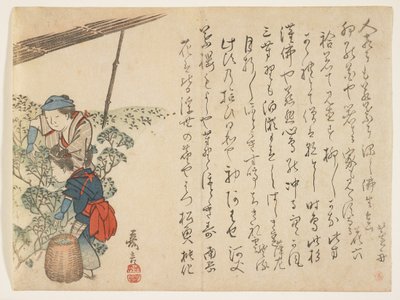 Teplukkere, ca. 1830-44 (farget treblokktrykk) av Murata Kagen