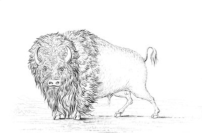 Buffalo, 1841. av Myers and Co