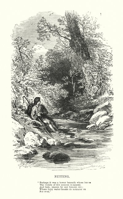William Wordsworth: Nutting (gravering) av Myles Birket (after) Foster