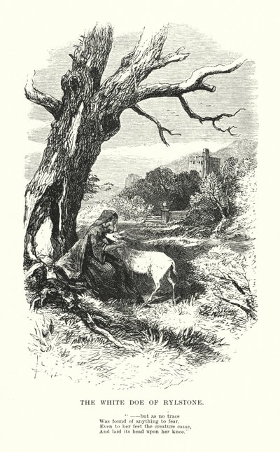 William Wordsworth: The White Doe of Rylstone (gravering) av Myles Birket (after) Foster