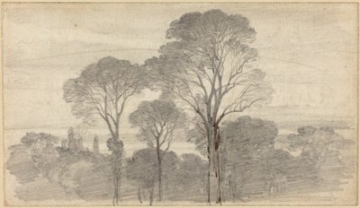 Et kveldslandskap med høye trær av Myles Birket Foster