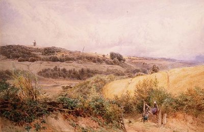 Sommerlandskap nær Haslemere, Surrey av Myles Birket Foster