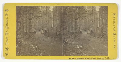 Cathedral Woods, North Conway, N.H., midten av 1800-tallet. av N.W. Pease