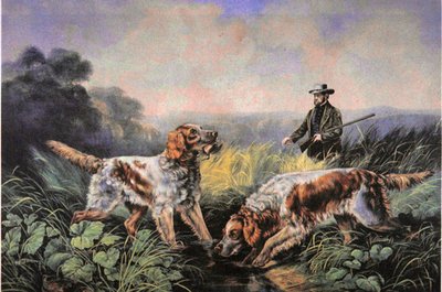 American Field Sports: Henting av N. and Ives J.M. (after) Currier