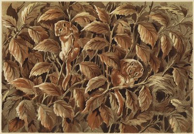 Dorothy, pikk og dormusen (litho) av N. Parker