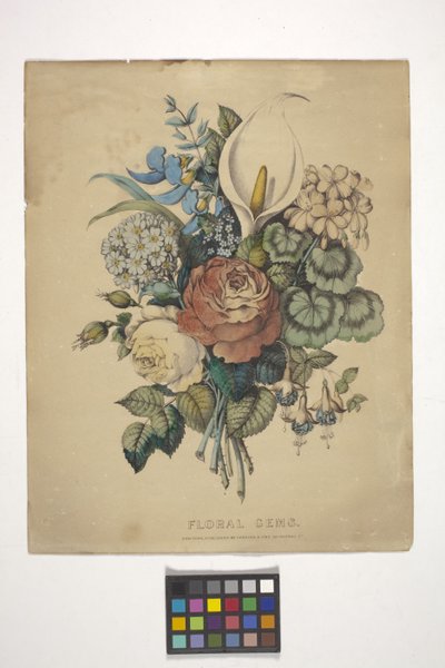 Floral Gems (håndfarget litografi) av N. and Ives J.M. (1824 95) Currier