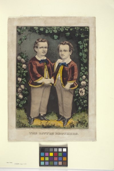Little Brothers (håndfarget litografi) av N. and Ives J.M. (1824-95) Currier