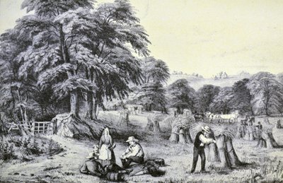 Currier & Ives Illustrasjon 1800-tallet. Innhøsting av N. and Ives, J.M. Currier