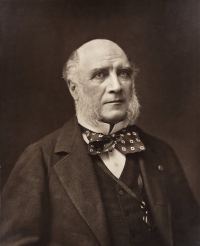 Élie-Louis, hertug Decazes fransk statsmann og diplomat, 1819-1886, ca. 185377. av Nadar