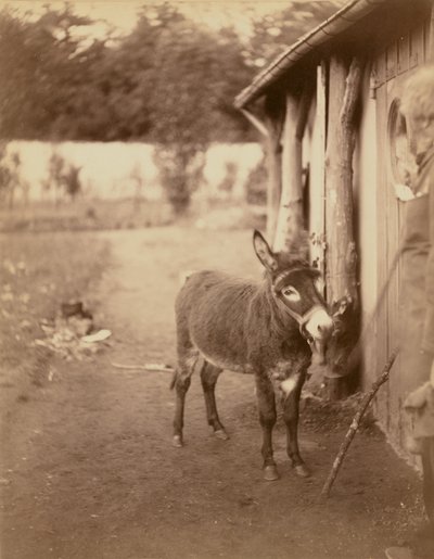  av Nadar [Gaspard Félix Tournachon]