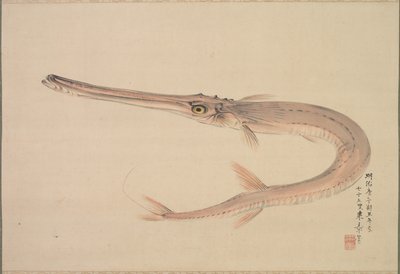 Nålefisk (alltid) av Nakajima Raishō