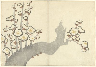 Plomme blomst Bildealbum av Korin (serietittel) Korin gafu (serietittel) av Nakamura Hochu
