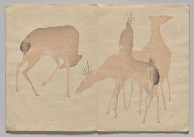 Scene fra The Kōrin Picture Book (bind 1) av Nakamura Hochu