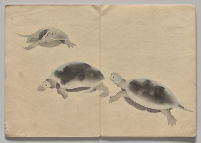 Scene fra The Kōrin Picture Book (bind 2) av Nakamura Hochu