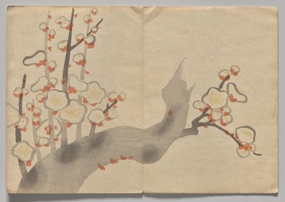 Scene fra The Kōrin Picture Book (bind 2) av Nakamura Hochu