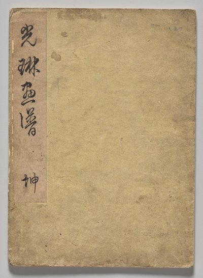The Kōrin Picture Book (bind 1) av Nakamura Hochu