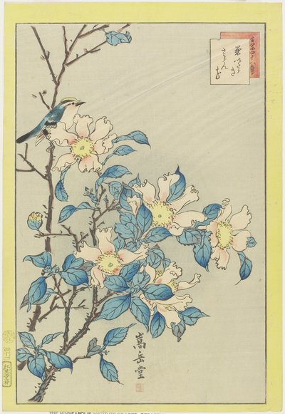 Blå fugl og rosa blomster, 1859 (treblokktrykk i farger) av Nakayama Sugakudo
