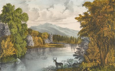 Moosehead Lake, Maine, 1857-72., 1857-72. Skapere: Nathaniel Currier, James Merritt Ives, Currier og Ives. av Currier and Ives