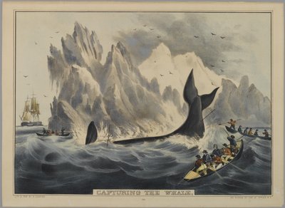 Capture the Whale (håndfarget litho) av Nathaniel Currier